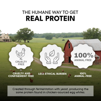 Animal-Free Egg White Protein Powder