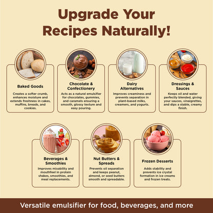 Sunflower Lecithin Powder